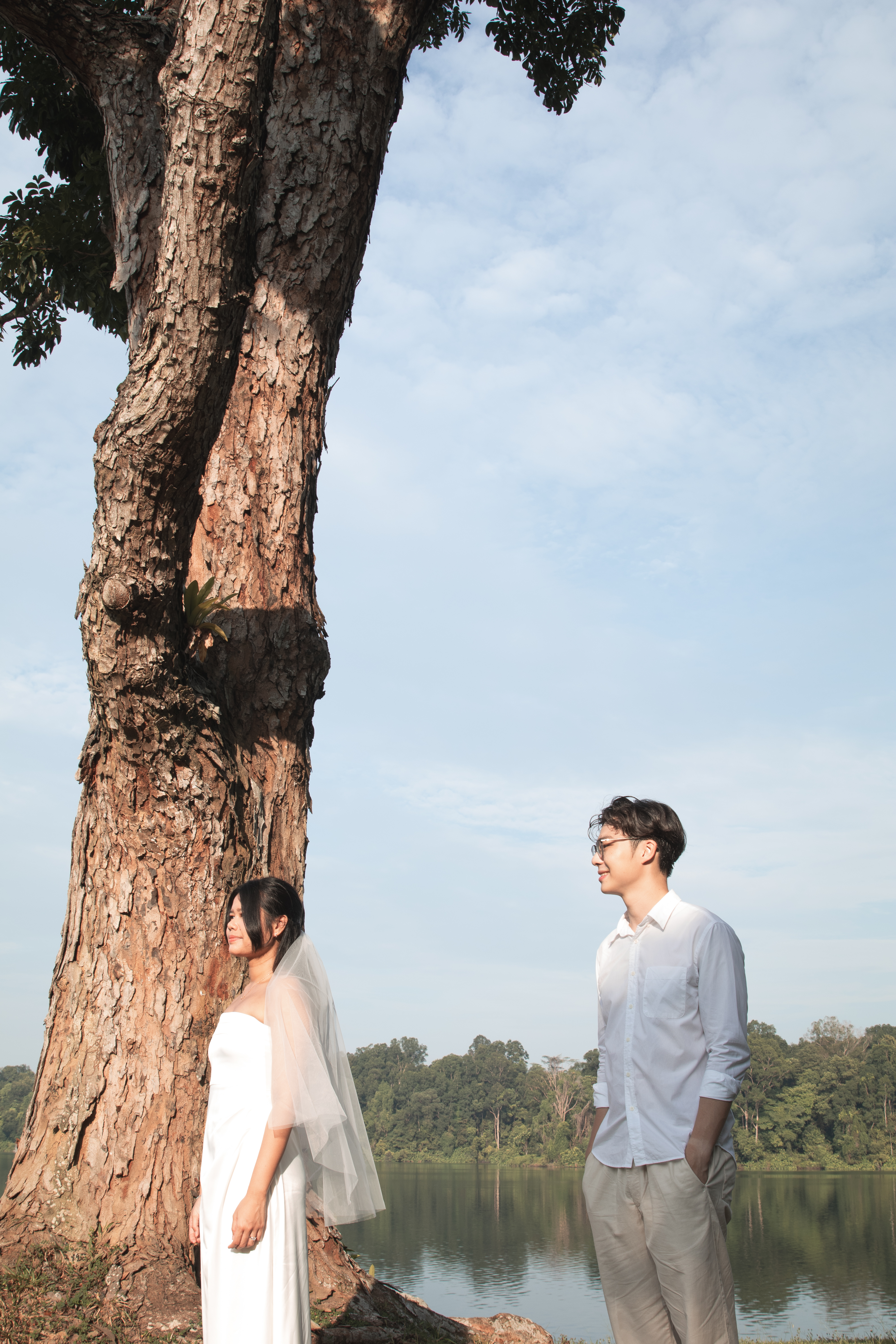 Close-up detail shot